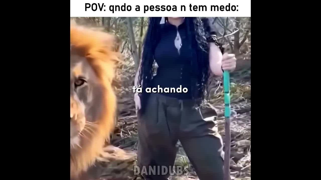 Quando o leão se apaixona no zoológico