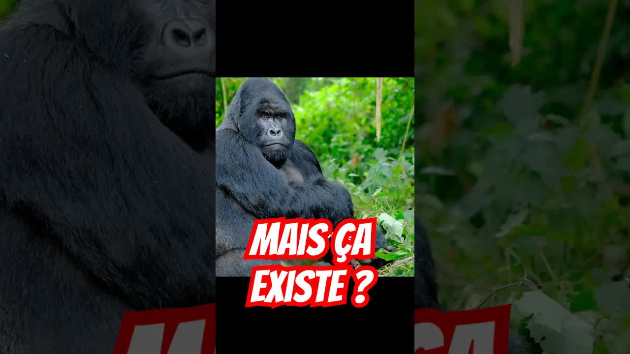 Les animaux inconnus et les espèces découvertes