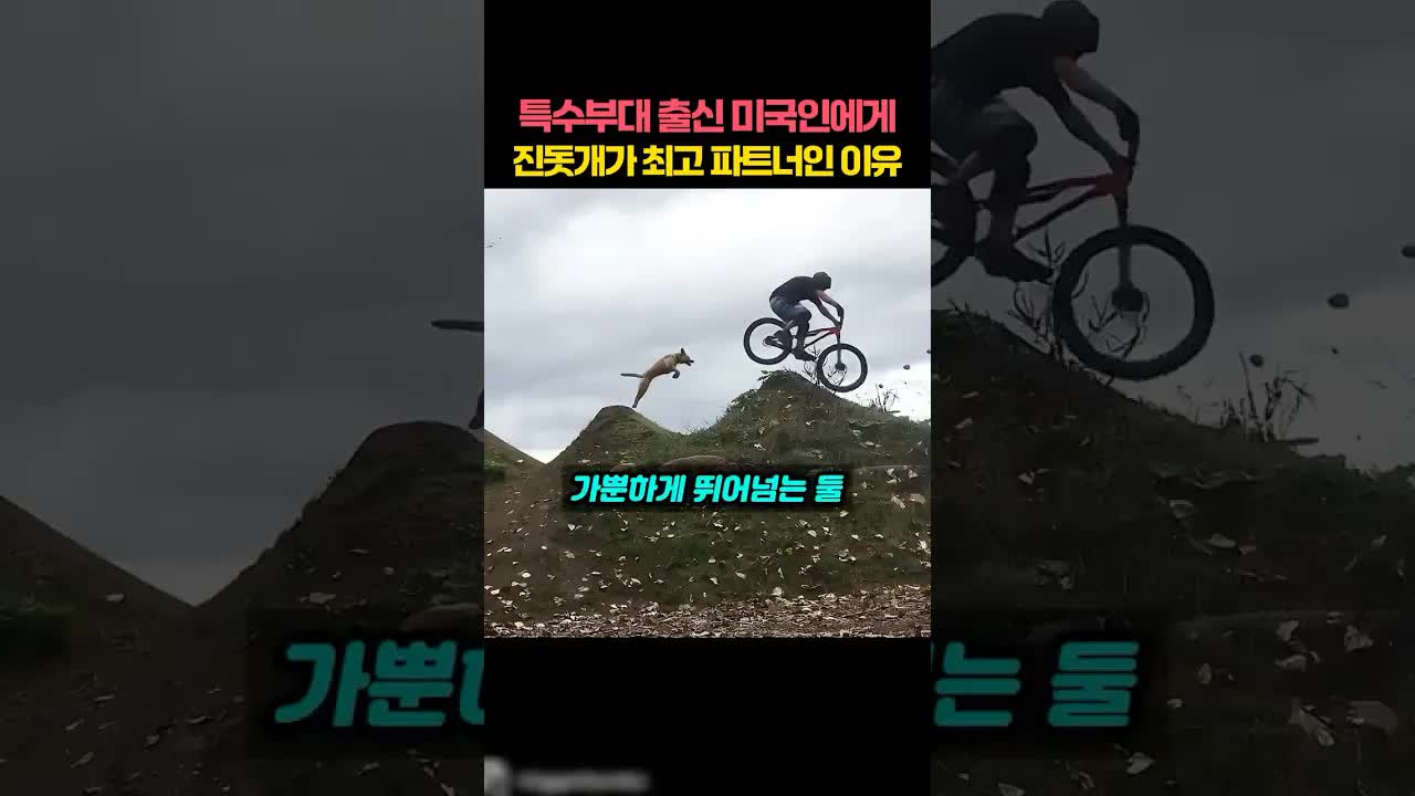 진도믹스 티거의 놀라운 산악 주행 실력