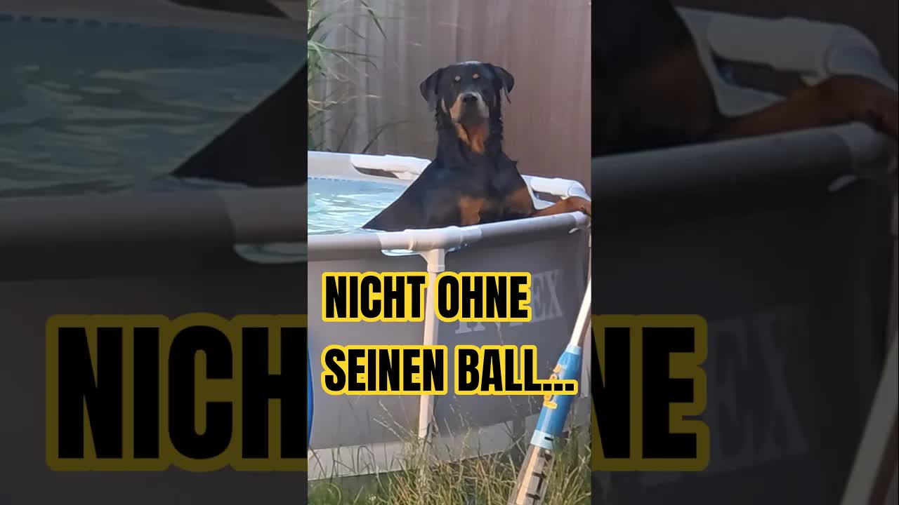Der Ball muss aus dem Pool