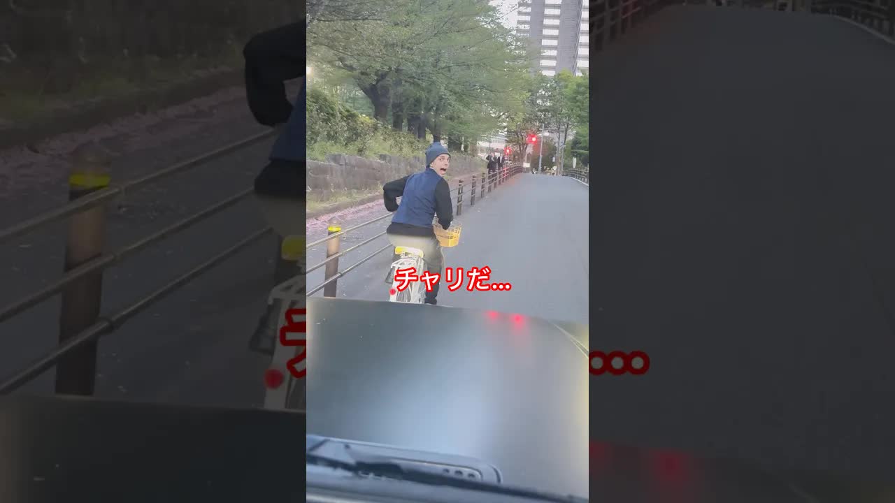 自転車と車のトラブル：警察官との会話