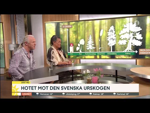 Varför skydda Sveriges gammelskogar?