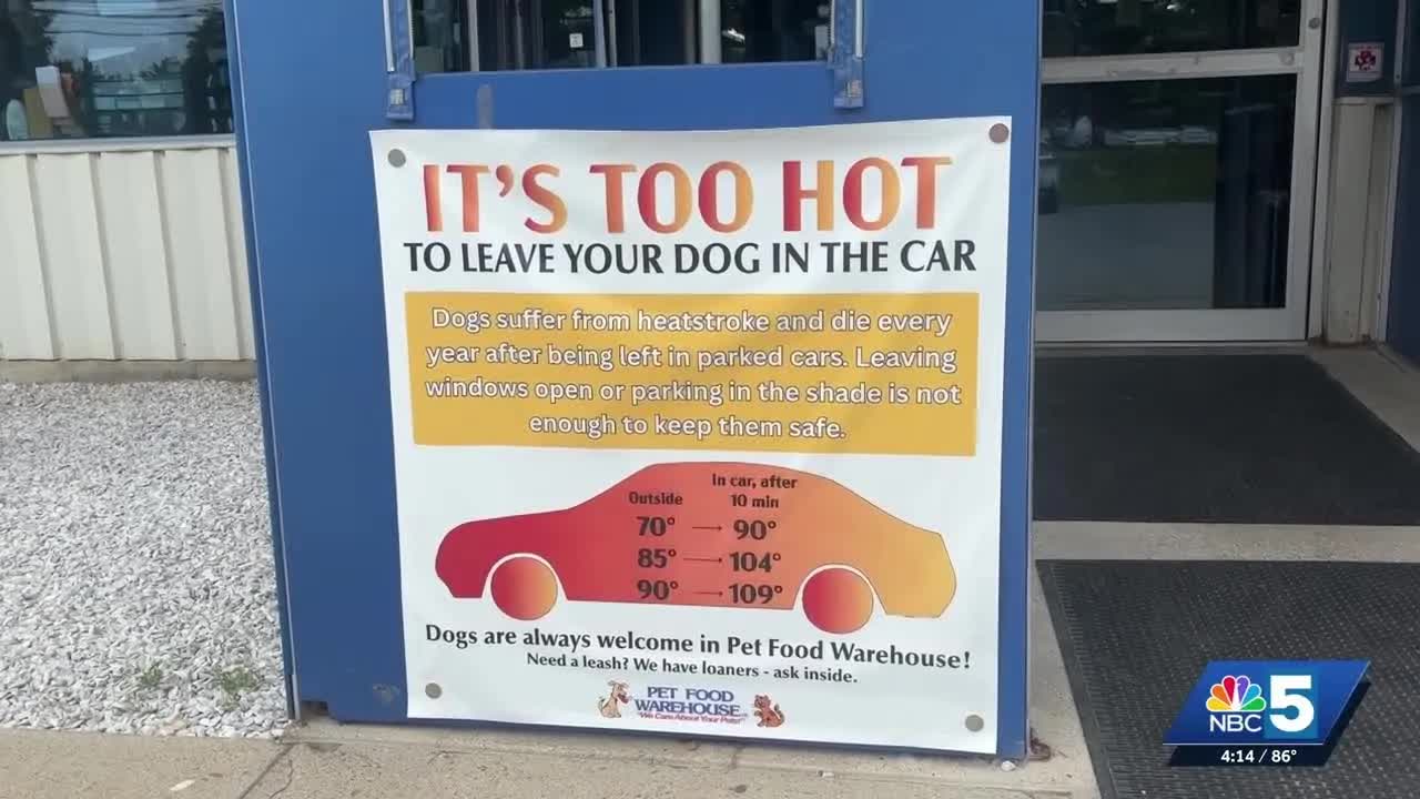 Never Leave Children Or Pets In Hot Cars