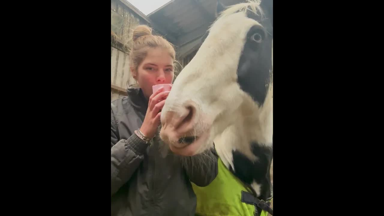 Ella probó la golosina destinada al caballo