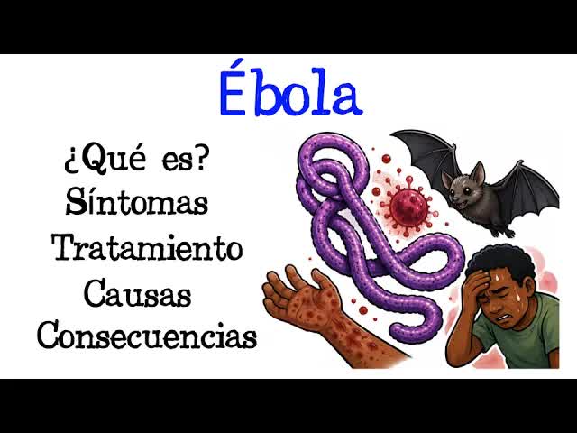 Qué es el ébola: síntomas, causas y tratamiento