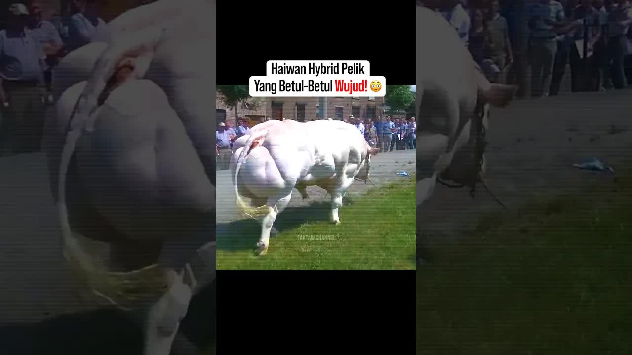Haiwan Hibrid Aneh yang Wujud Nyata