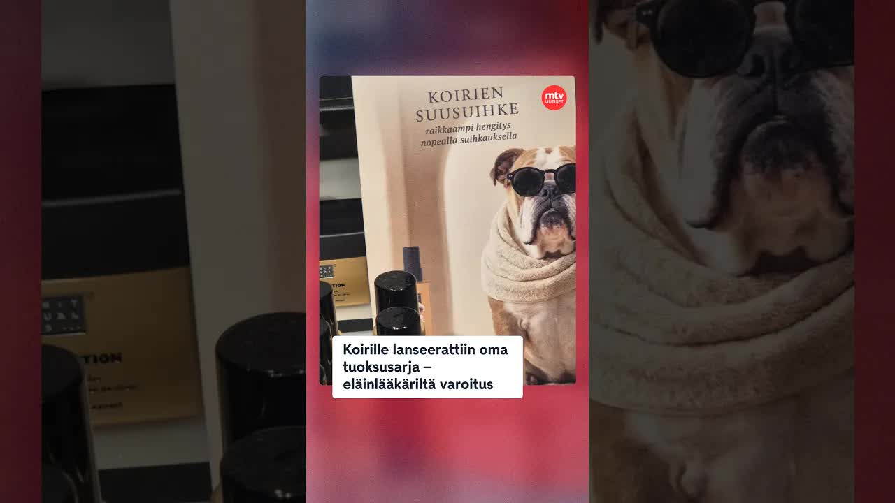 Koirille oma spa-sarja – eläinlääkäri varoittaa