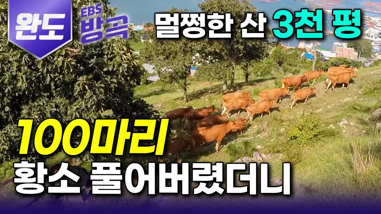 완도 목장과 바다, 아버지의 삶을 이어가다