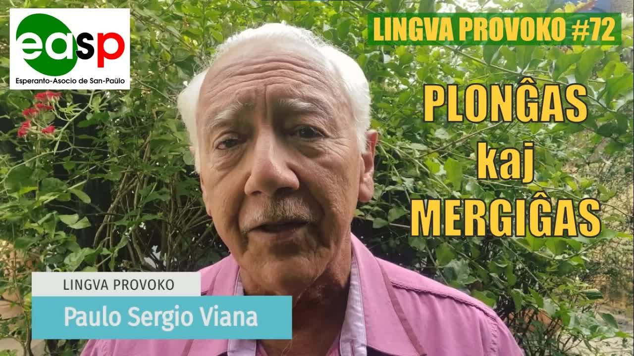 Kiam Plonĝi kaj Kiam Mergi