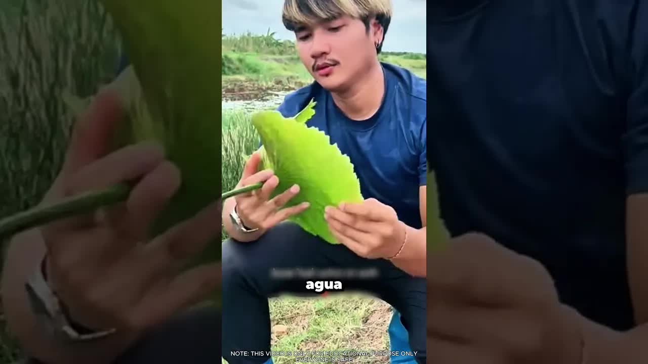 La máscara de loto que salva de calor extremo