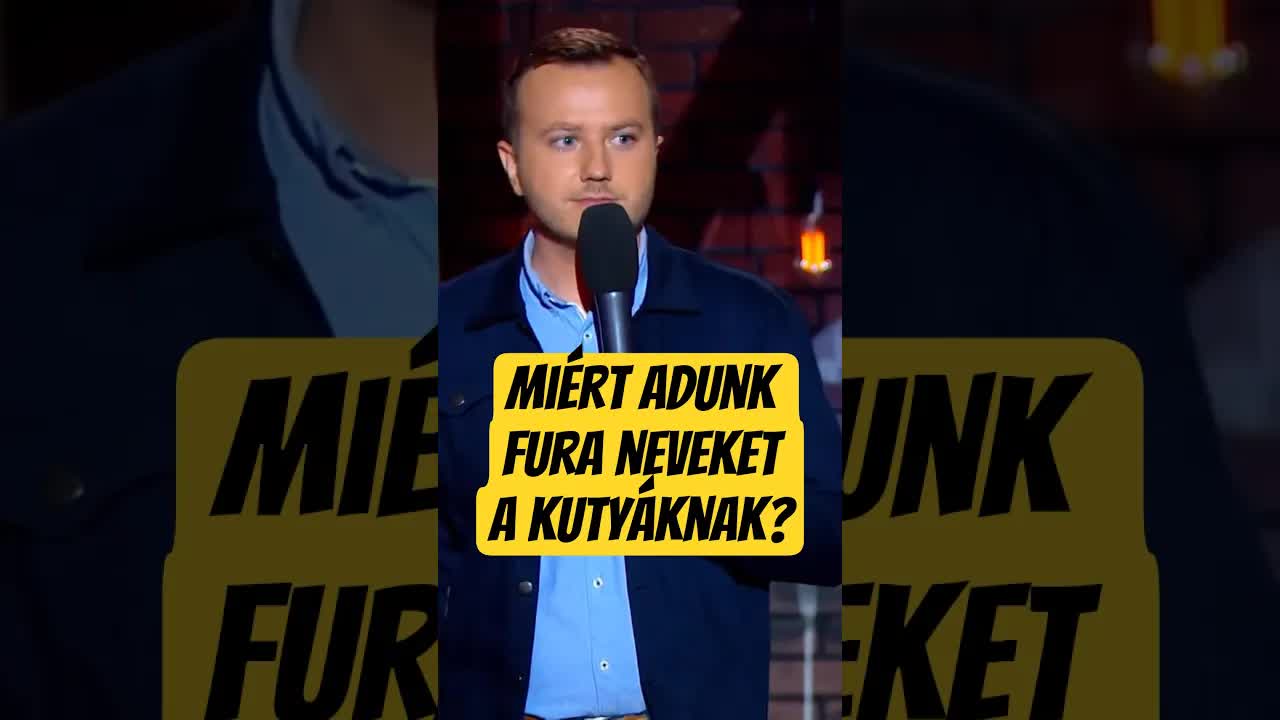 Miért adunk fura neveket a kutyáinknak?