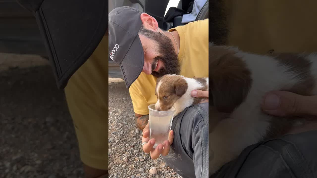 Rescatando un perrito atrapado en un pozo