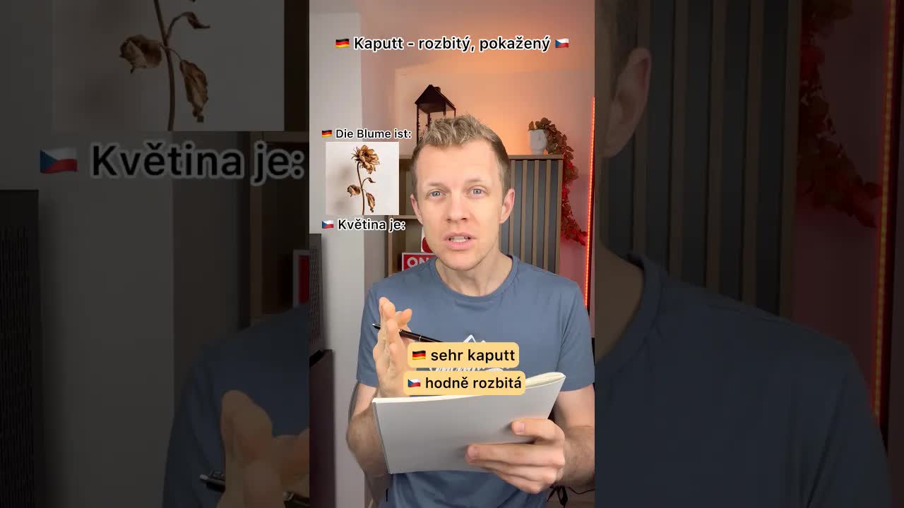 Alles ist kaputt: lustige Beispiele im Alltag