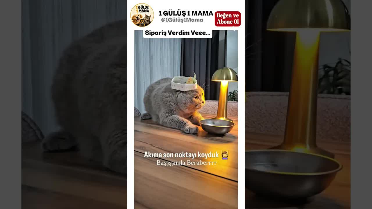 Sipariş Verdim Veee... Garsonun Şovu
