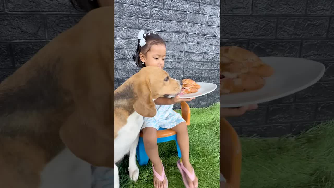 Se comieron mi pan con mortadela