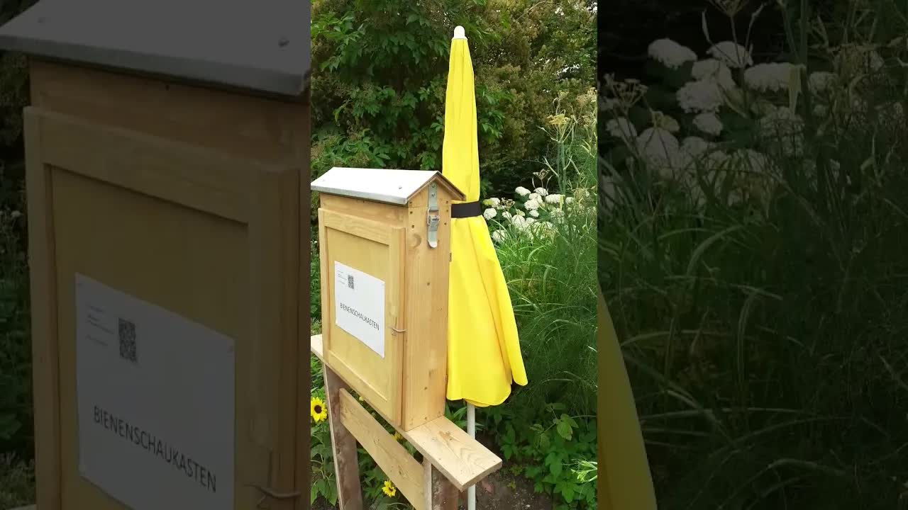 La flava ombrelo kaj la abeloj