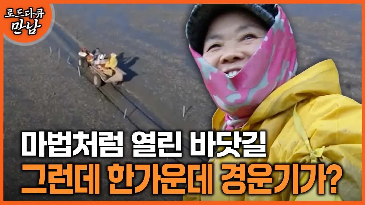 갯벌에서 낙지와 굴을 잡는 부부의 이야기