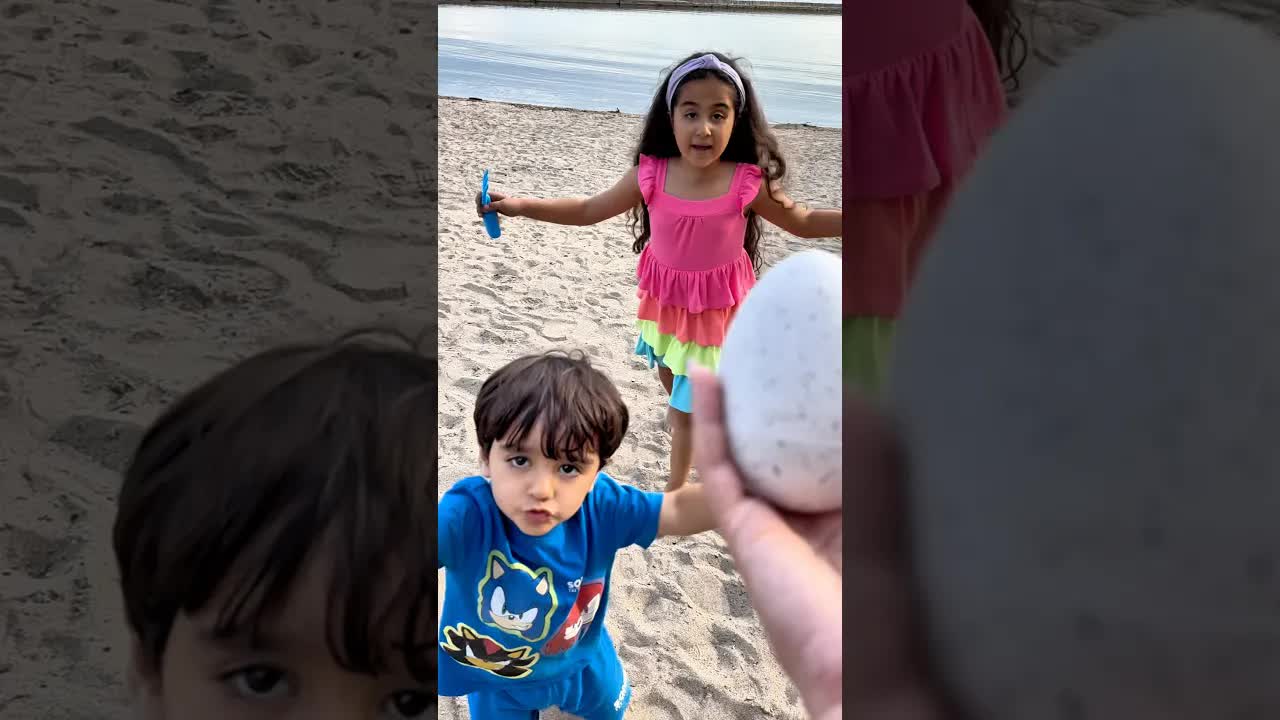 لقينا بيضة غريبة على الشاطئ!