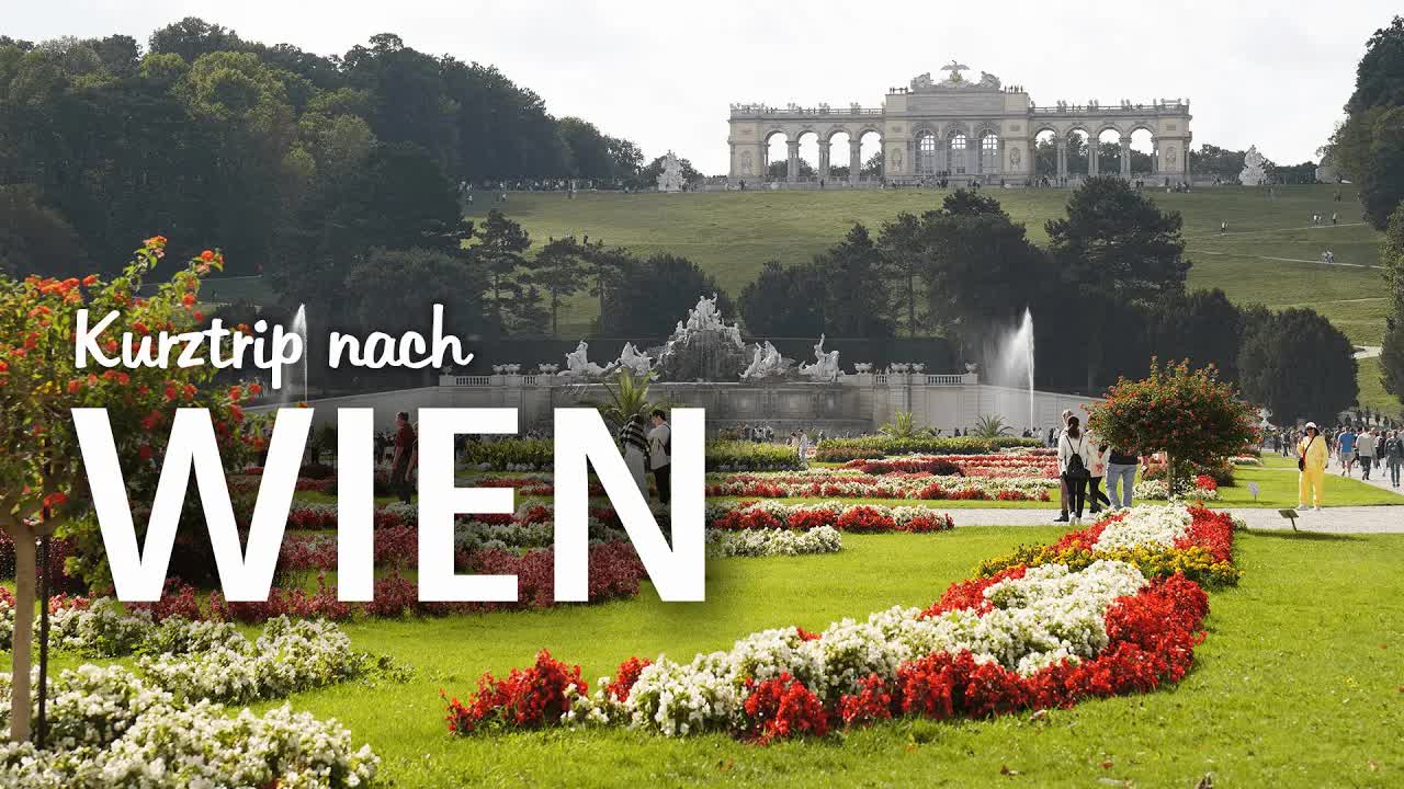 4 Tage in Wien – Kultur, Laufen und Genuss