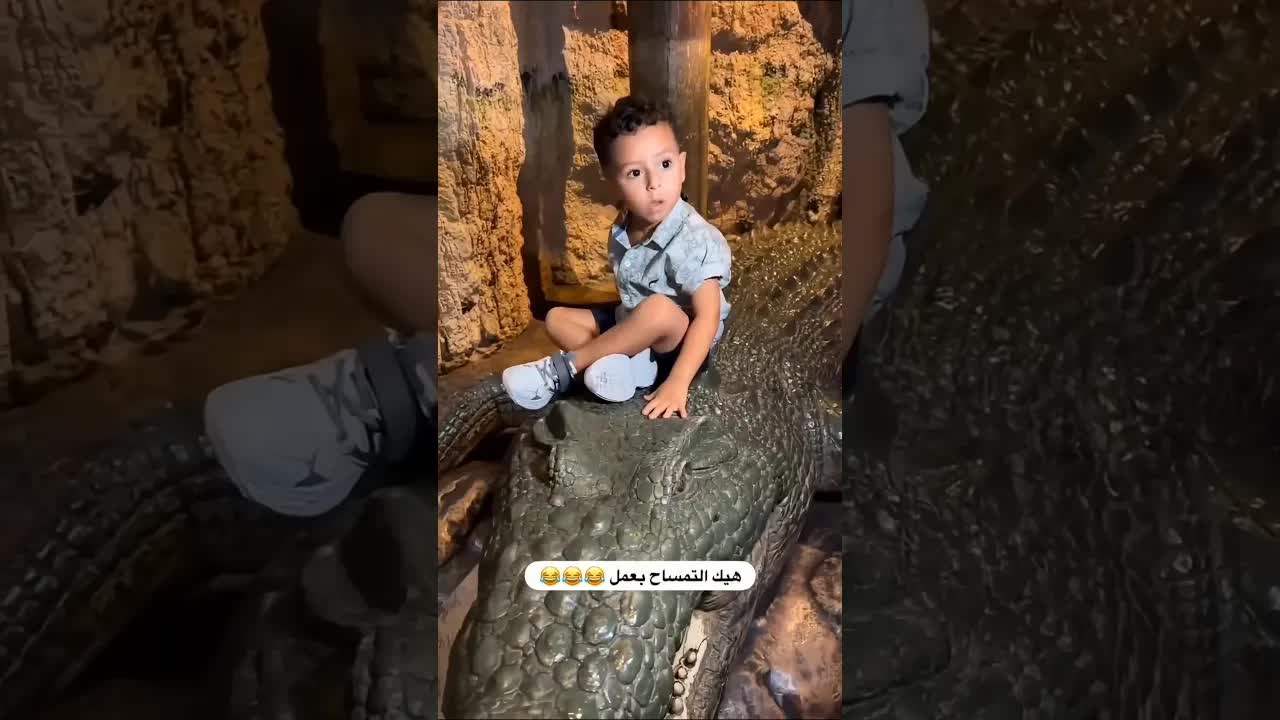 تمساح تمساح احضرو شو عمل
