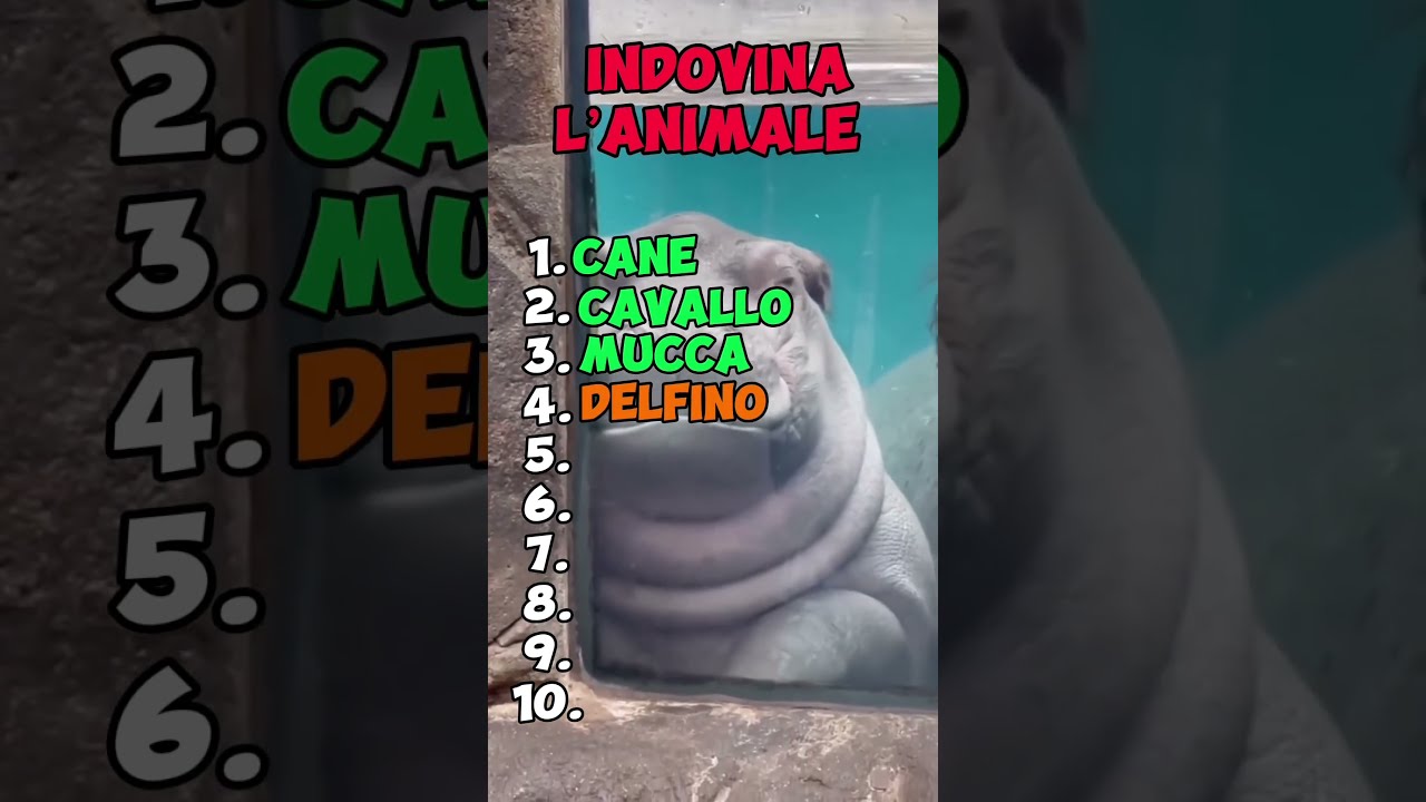 Quiz animali: indovina tutti e 10 gli animali