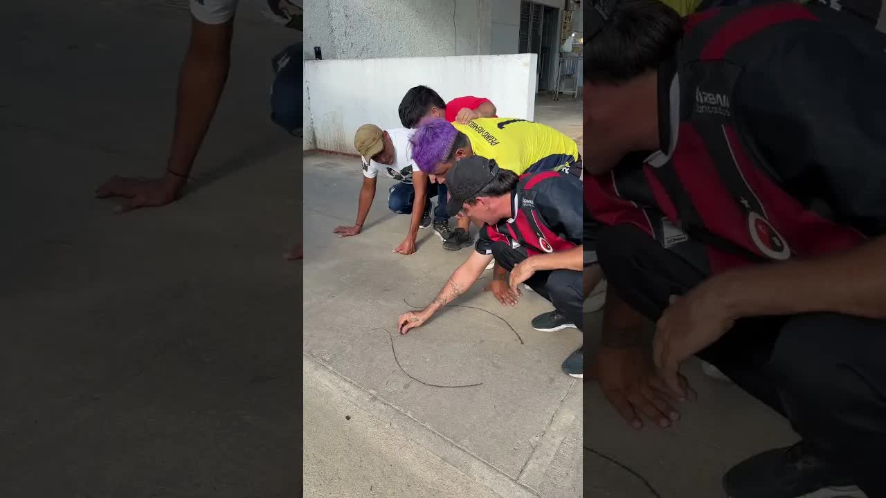 Guía de manejo por las calles de Bogotá