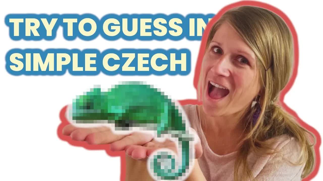 Hádej zvíře podle jednoduchého popisu
