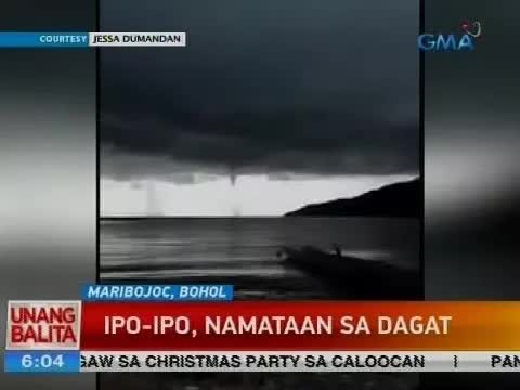 Ipo-ipo, namataan sa dagat malapit sa Bohol
