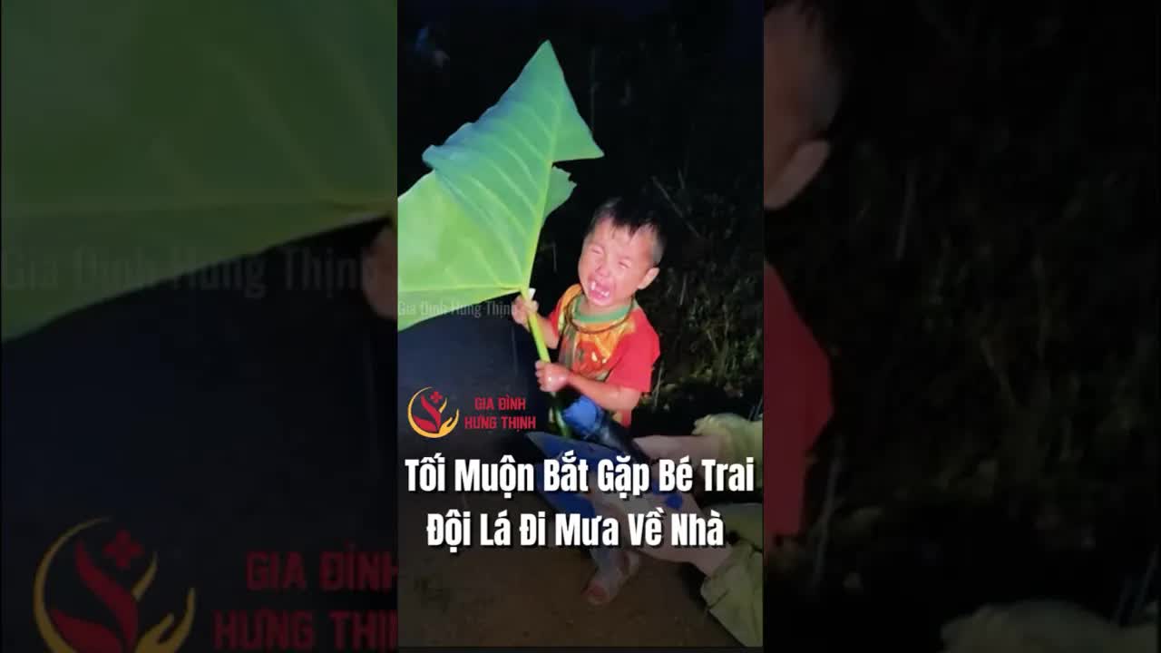 Chú Cho Lá Che Mưa Cho Em Bé Khóc
