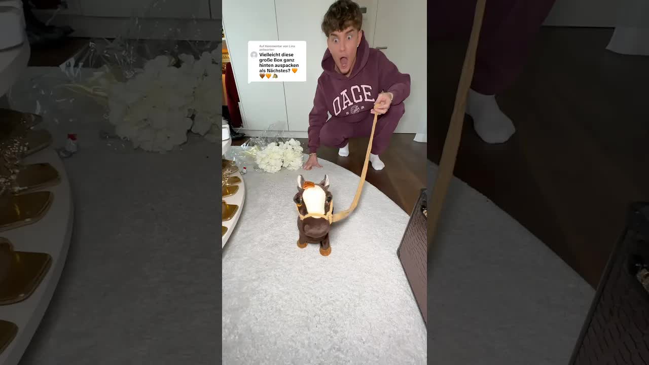 Auspacken meiner Geburtstagsgeschenke: Eine Pferdebox