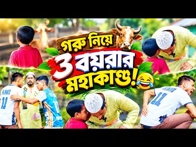 গরু হারানোর পর তিন বয়রার ঝগড়া
