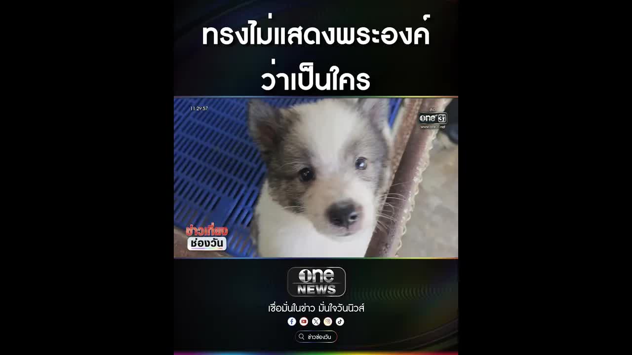 เรื่องประทับใจ เมื่อเจ้าฟ้าทรงโทรสั่งสุนัขบางแก้ว