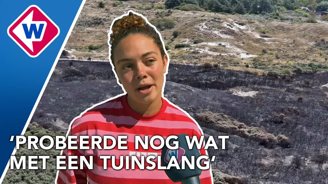 Grote duinbrand in Wassenaar: oorzaak en gevolgen
