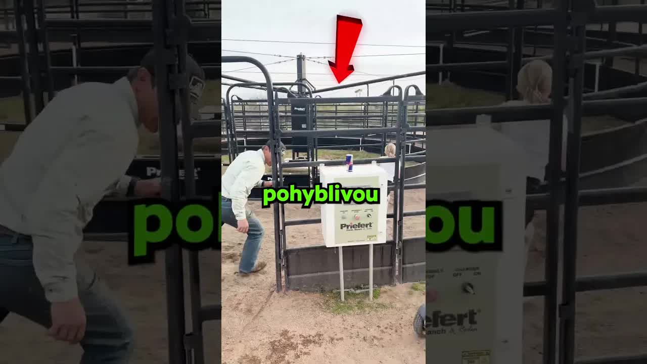 Tata a dcera závodí s pejskem u pohyblivé brány