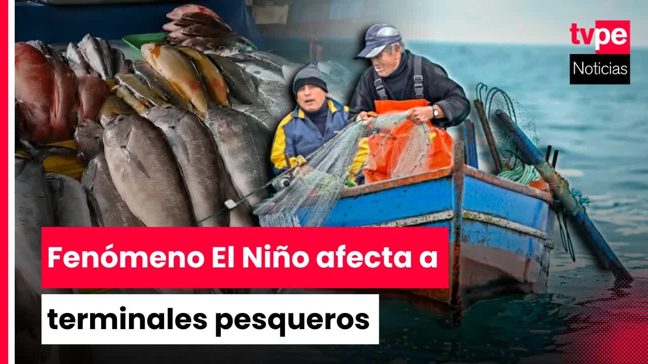 Escasez y alza de precios del pescado por El Niño