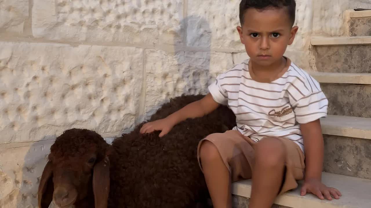 جاب خروف وحير جدو هشام