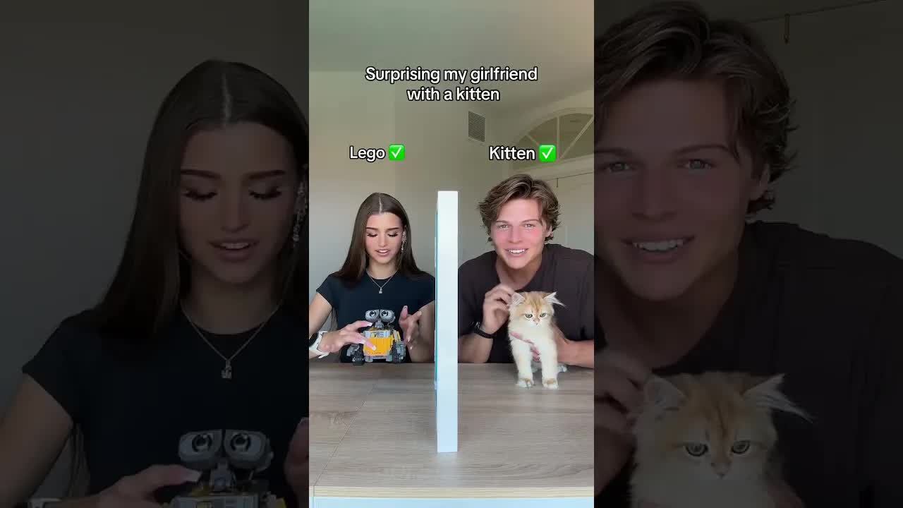 Meeting Mr. Pickle the Kitten