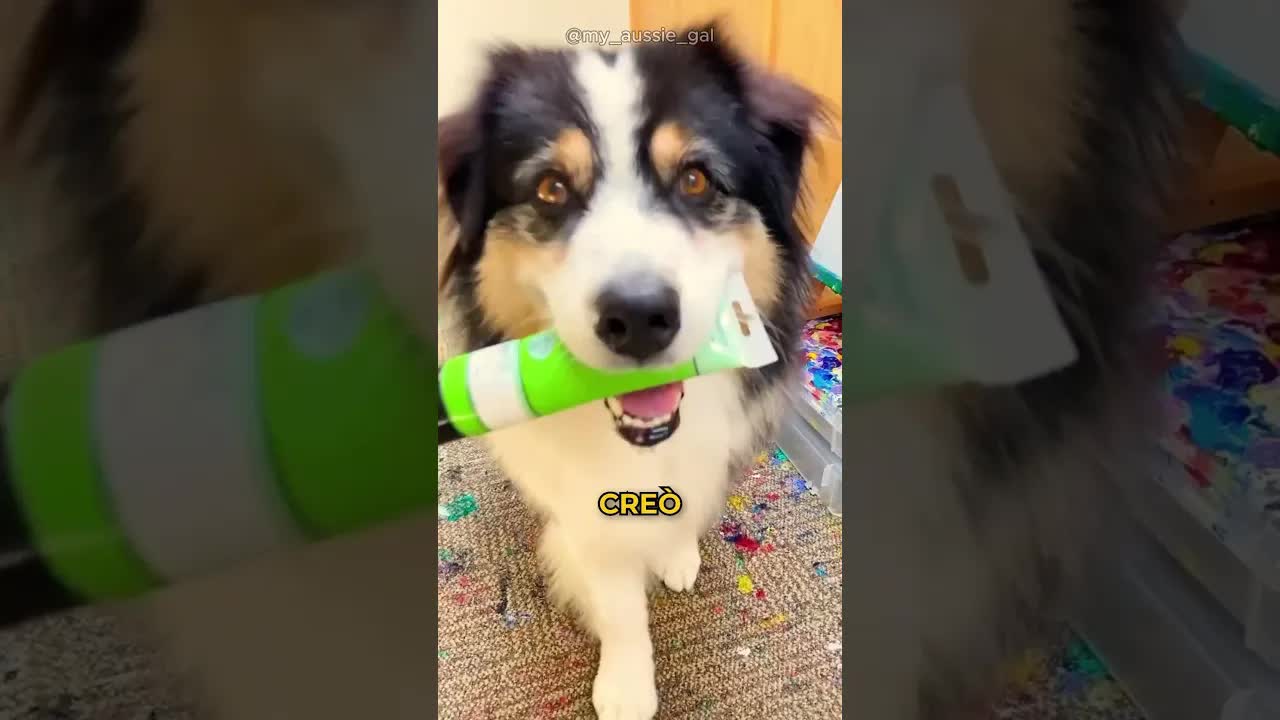 Il cane che dipinge un capolavoro