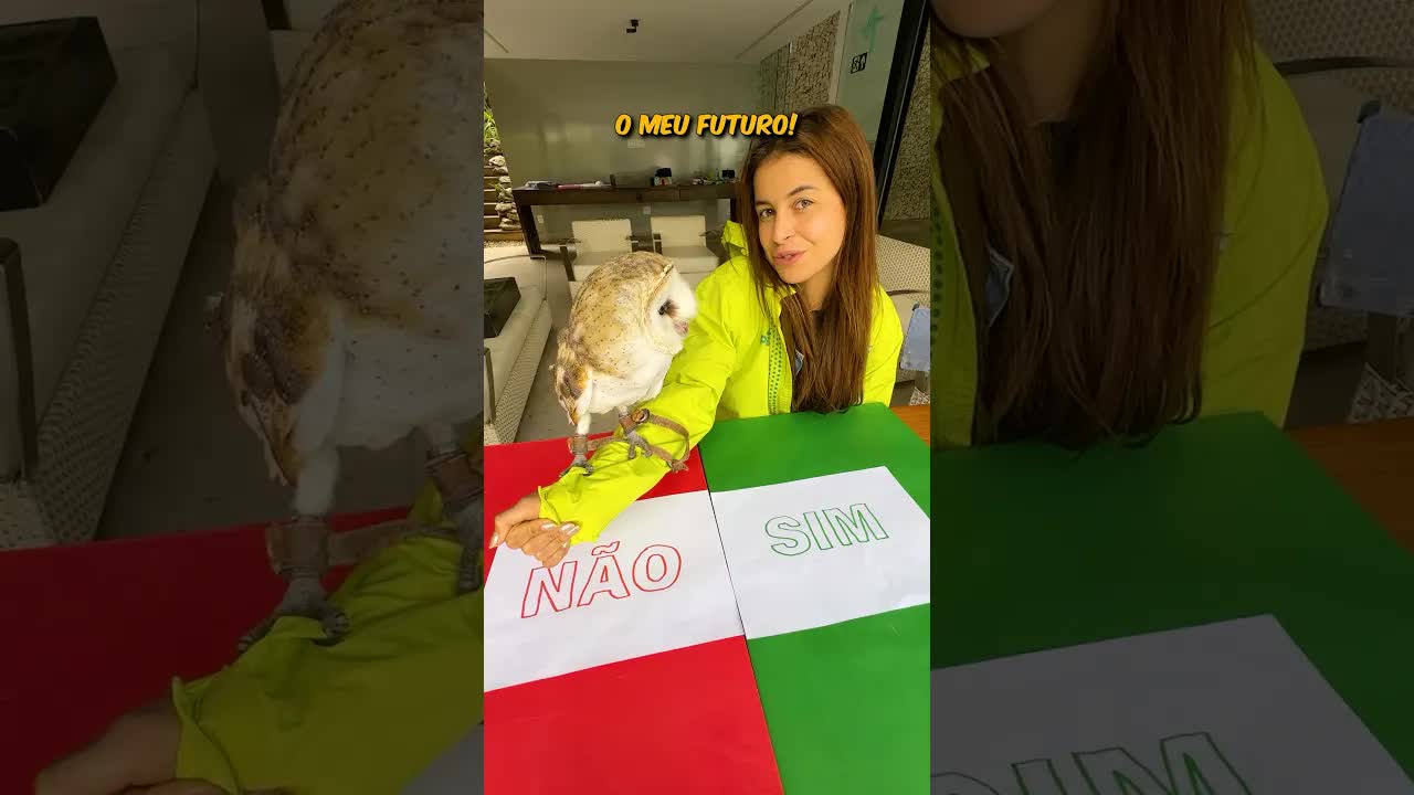 Coruja decide meu futuro e meu Lamborghini
