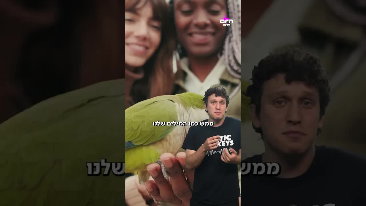 איך טוקי מחקה אותנו ולמה הוא עושה את זה