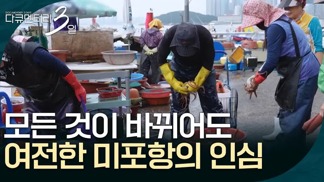미포항 어부 가족의 하루