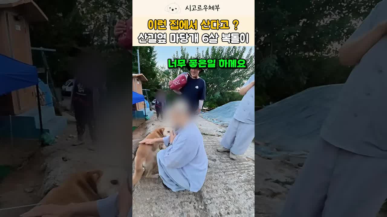 산길 옆 오해받던 강아지 집 청소하기