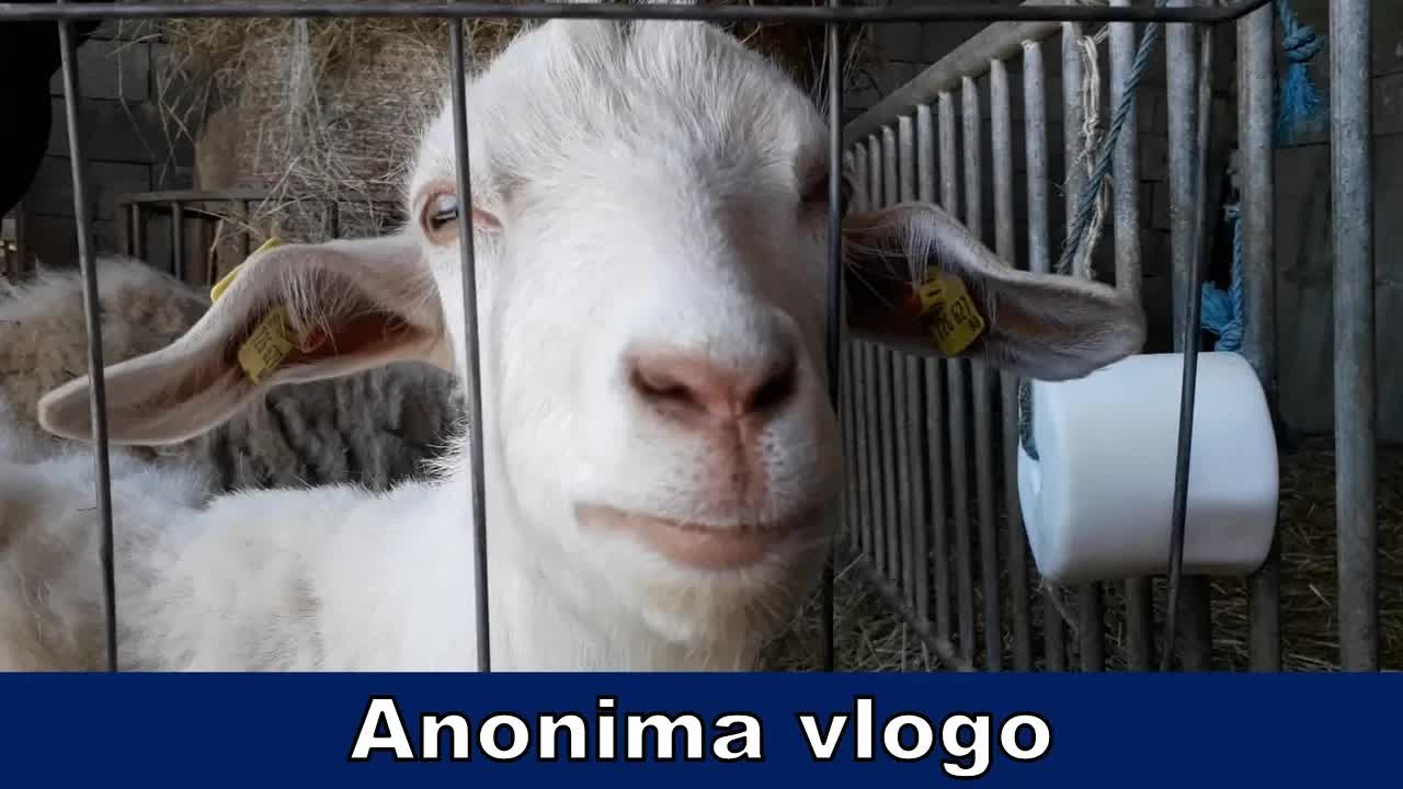 Kiel krei YouTube-filmojn sen montri vizaĝon