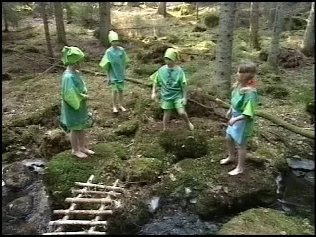 Mossrikets saga och mossjakt i skogen