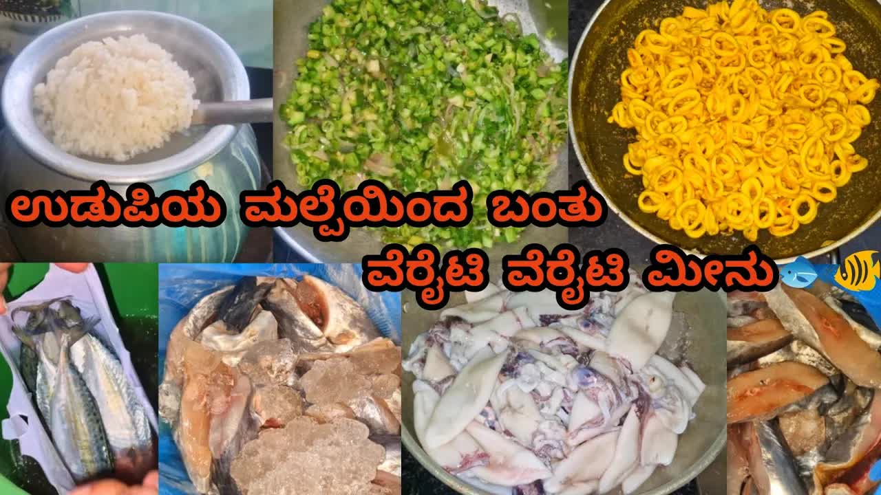 ಒಂದೇ ದಿನದಲ್ಲಿ ಖಾಲಿಯಾದ ತುಂಬಾ ಮೀನು