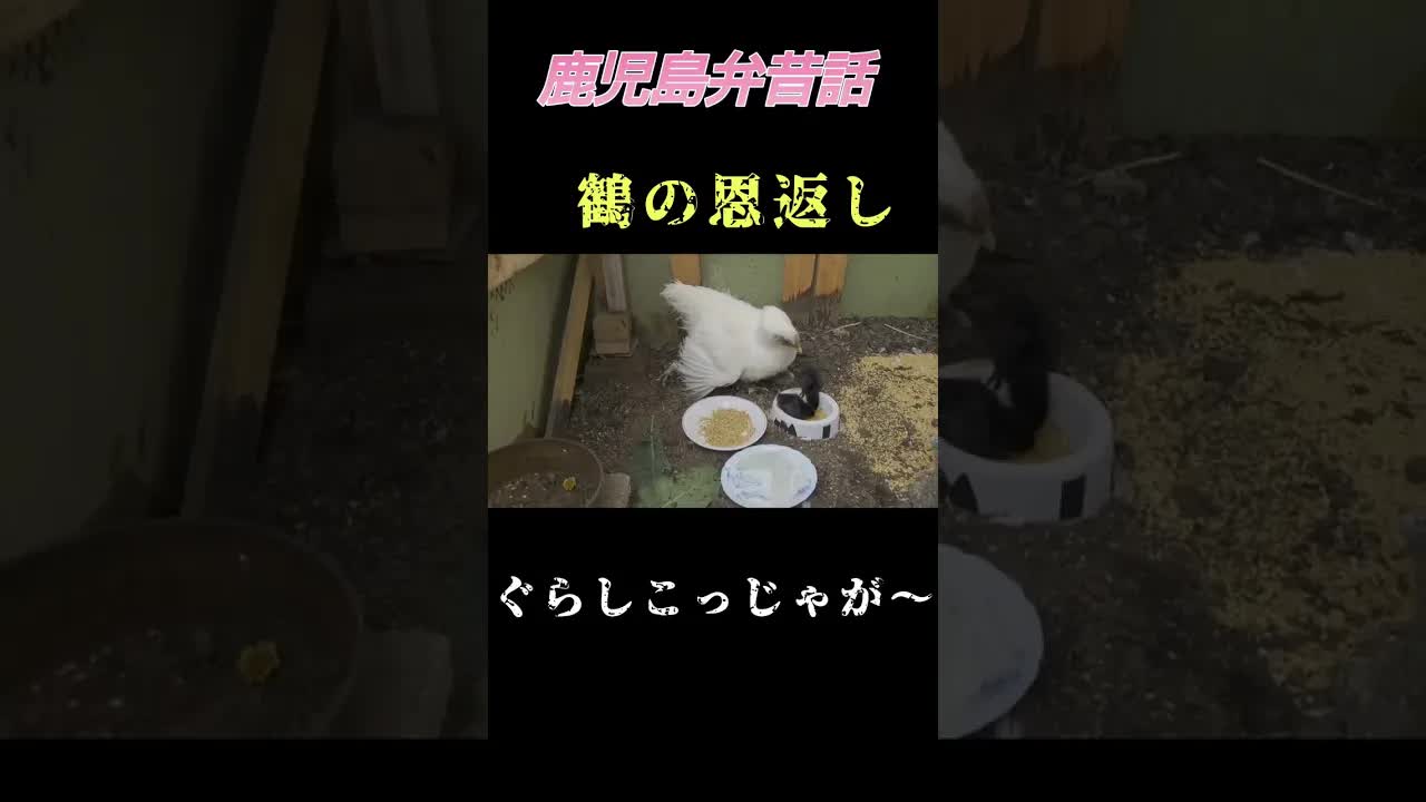 山で鶴と出会ったおじさんの昔話