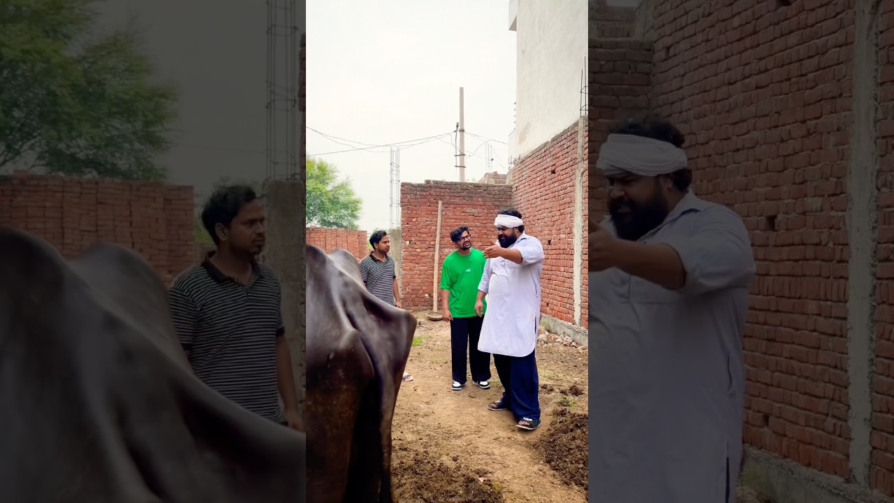 Shahri Pablu Ko Gaon Mein Ghumana