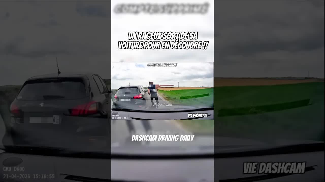 Un conducteur sort de sa voiture pour se battre