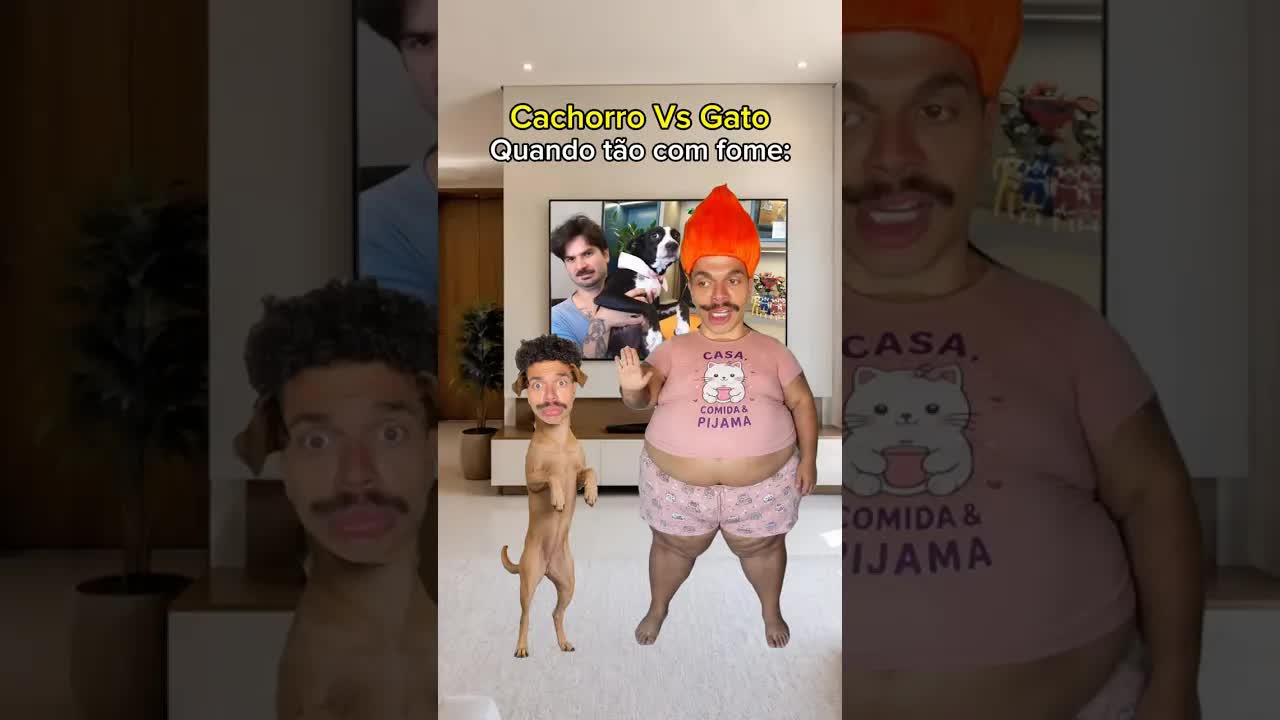 Cachorro e gato com fome em casa