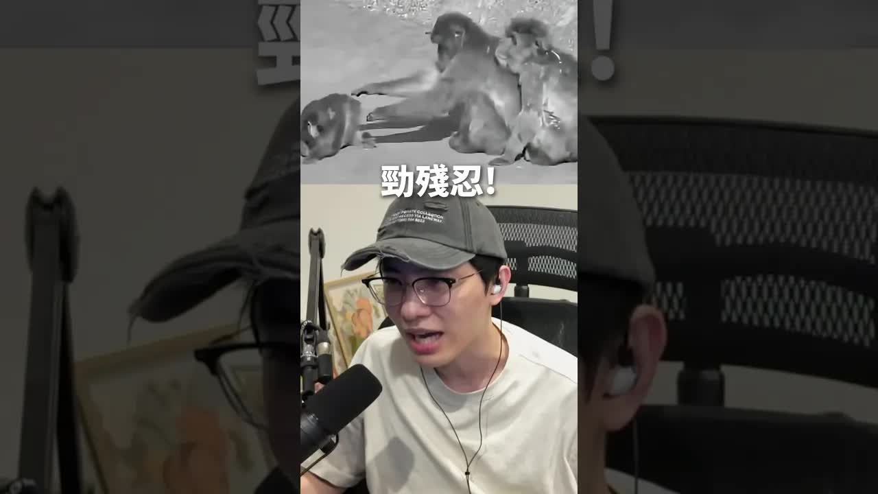 點解大家關注動物多過孤兒？